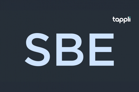 An introduction to Small Business Entity (SBE) taxpayers (LMS_CO_026) An introduction to Small Business Entity (SBE) taxpayers (LMS_CO_026)